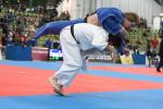 JudoVeteranenEM_1115.JPG