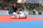 JudoVeteranenEM_1324.JPG