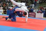 JudoVeteranenEM_1653.JPG