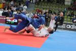 JudoVeteranenEM_1658.JPG